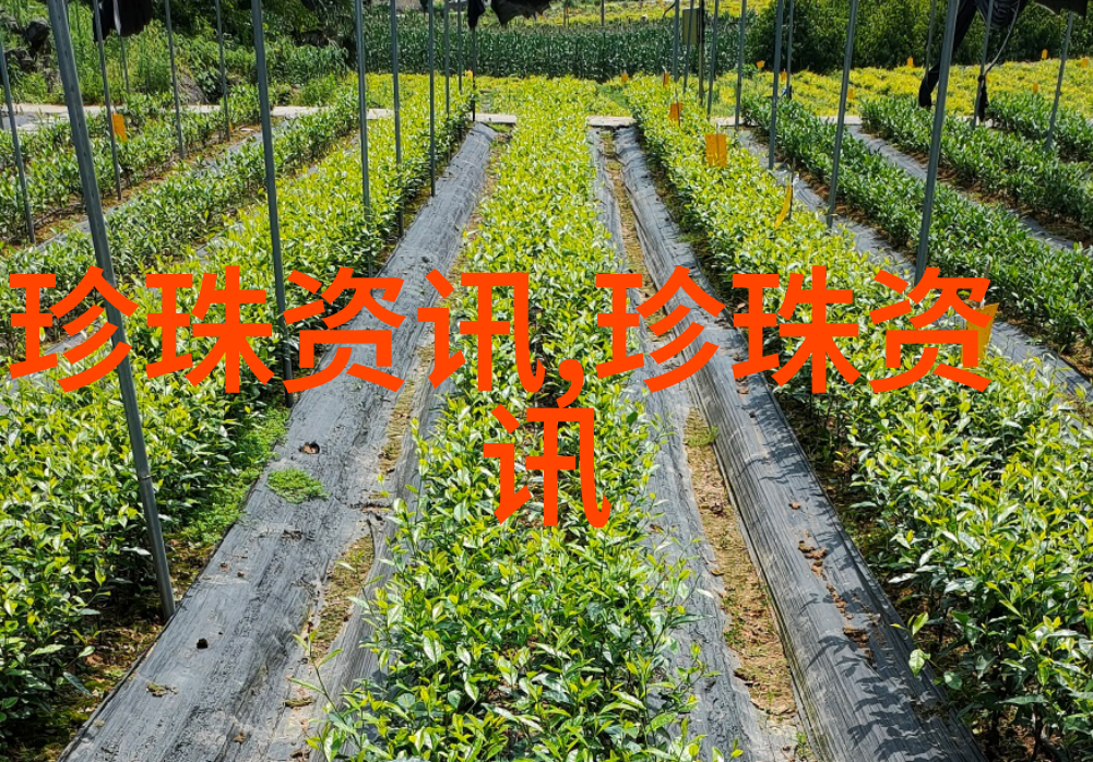 广西北海启动国家珍珠产业综合标准化示范区项目